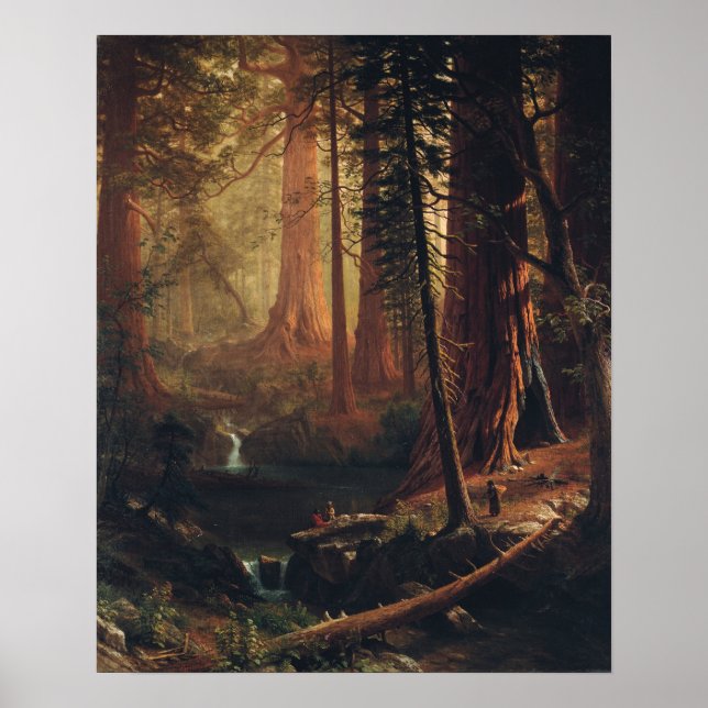 Bierstadt - Giant Redwood Träd of California Poster (Framsidan)