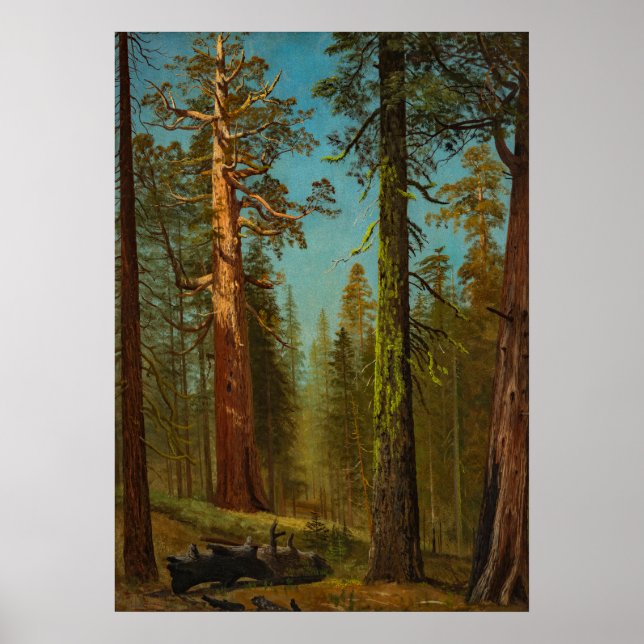 Bierstadt Giant Sequoia Forest Painting Poster (Framsidan)