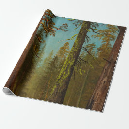 Bierstadt Giant Sequoia Forest Painting Presentpapper