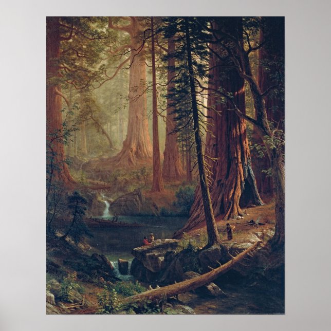 Bierstadt Redwood Träd Painting Poster (Framsidan)