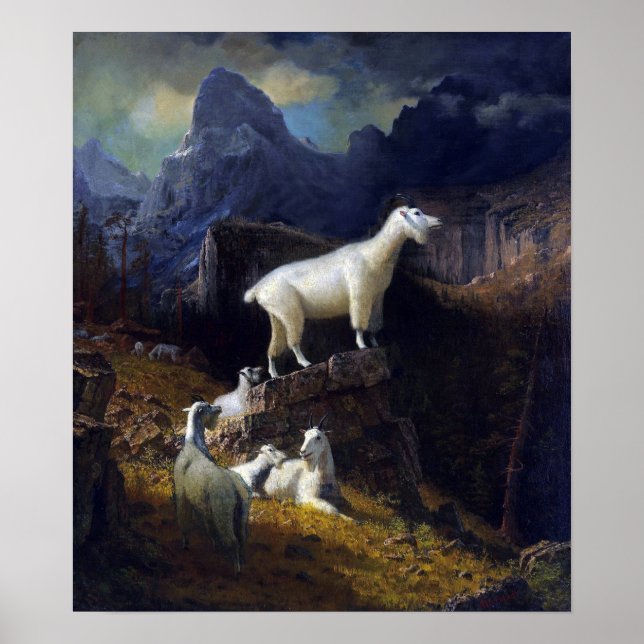 Bierstadt - Rocky Mountain Goats Poster (Framsidan)