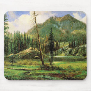 Bierstadt - Sierra Nevada-bergen, Musmatta