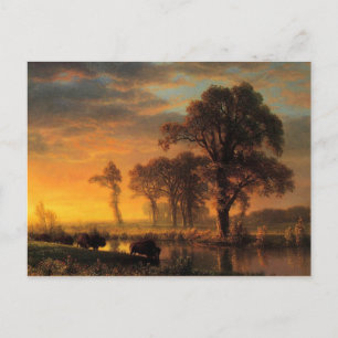 Bierstadt - Westerna Kansas Vykort