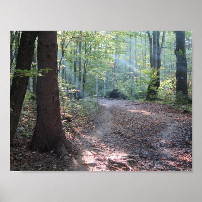 Bieszczady Forest Light Poster (Framsidan)