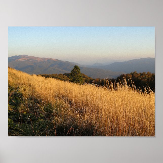 Bieszczady Połonina Caryńska Poster (Framsidan)