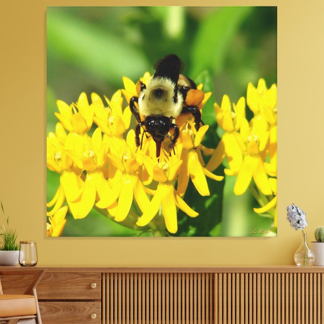 Biet festar på fjärilsväxtens vilda blommor canvastryck (Insitu (Vardagsrum))