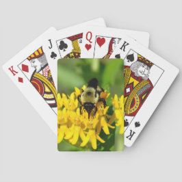 Biet festar på fjärilsväxtens vilda blommor casinokort