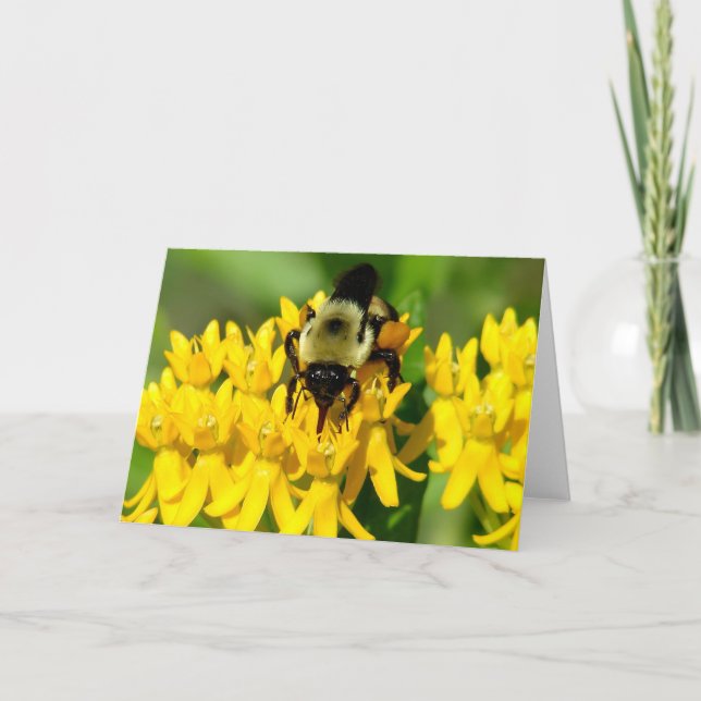 Biet festar på fjärilsväxtens vilda blommor kort (Framsida)