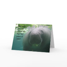 Biet för Manateefödelsedagjumbo av tårtadamen -