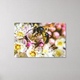 Biet I Grannskapet Canvastryck 36 x 24