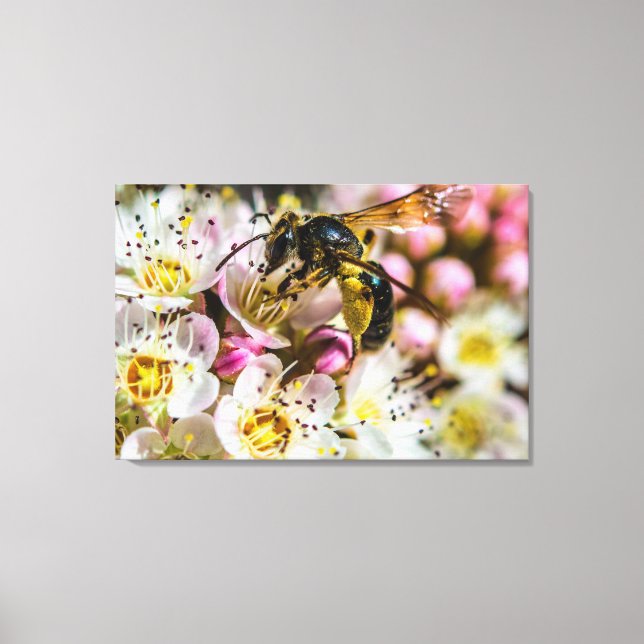 Biet I Grannskapet Canvastryck 36 x 24 (Framsida)