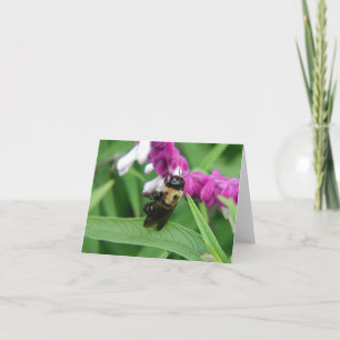 Biet med sammetblommor noterar kortet kort