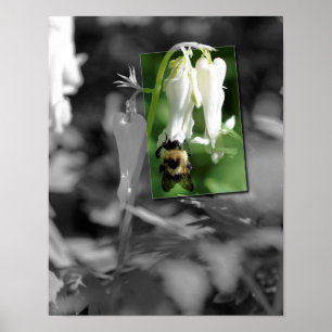 Biet på akvarieblomma delvis färg poster