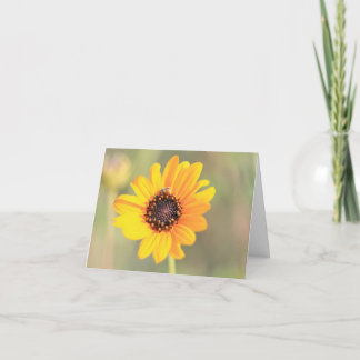 Biet på Coreopsis Visitenkort Tack Kort