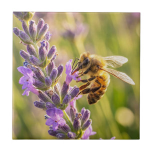 Biet på lavendel kakelplatta