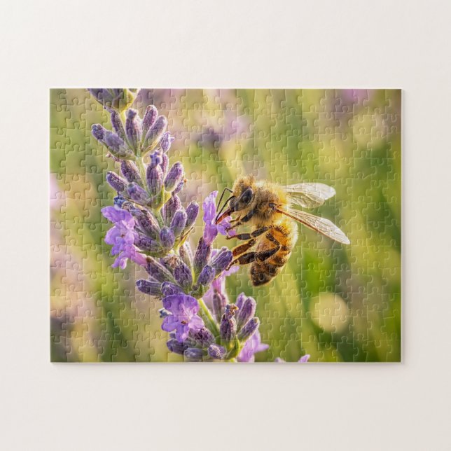 Biet på Lavendel Pussel (Horisontell)