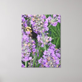 Biet på lavendelblomma canvastryck