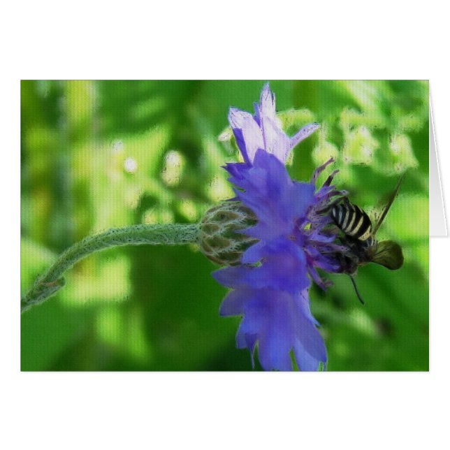 Biet på snabbvalskort för blomma Tillfällen Hälsningskort (Framsidan Horizontal)