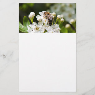 Biet samlar pollen flygblad