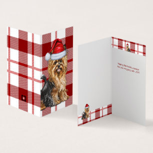 Biewer Terrier Hund Helgdag Red Play-jul Kort