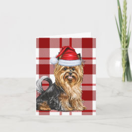 Biewer Terrier Hund jul, Helgdag Red Play Helgkort