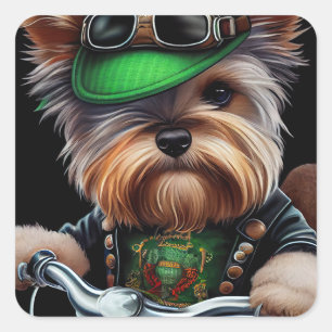 Biewer Terrier Hund Kör Cykel St. Patrick's Day Fyrkantigt Klistermärke