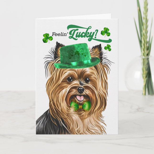 Biewer Terrier Hund Lucky St patrick's day Helgkort (Framsida)