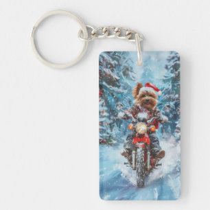 Biewer Terrier Hund Ridning Motorcykel Jul