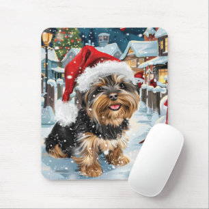 Biewer Terrier Hund Winter Wonderland jul Joy Musmatta
