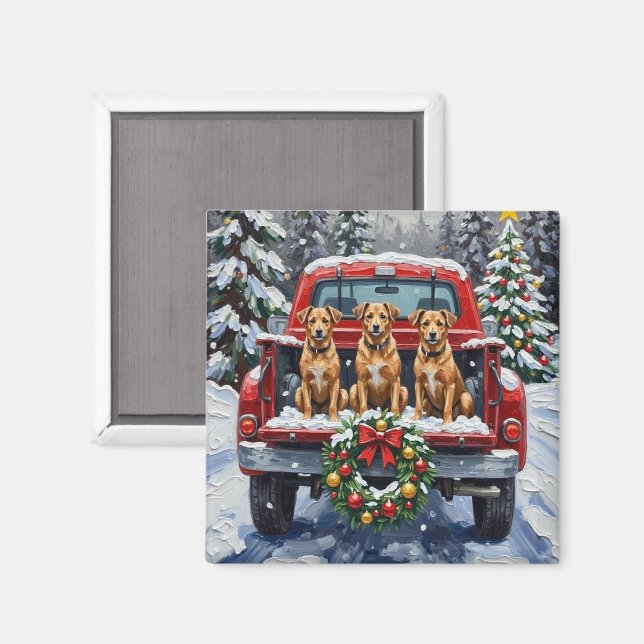 Biewer Terrier Jul Röda Lastbil Holiday Magnet (Front/Back)