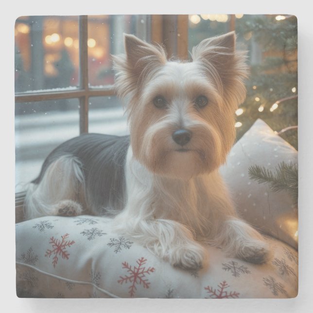 Biewer Terrier med julbelysning Holiday Stenunderlägg (Framsidan)