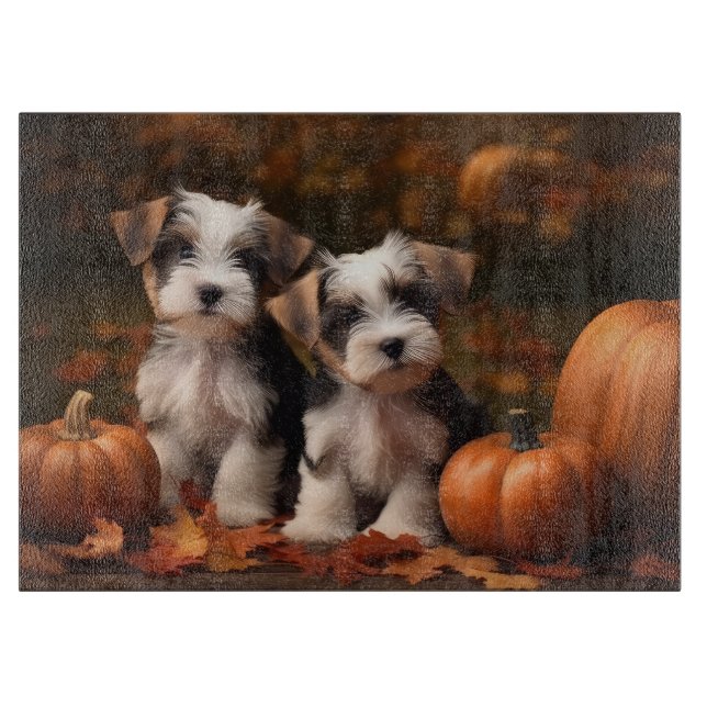 Biewer Terrier Puppy Autumn Delight Pumpkin (Framsidan)