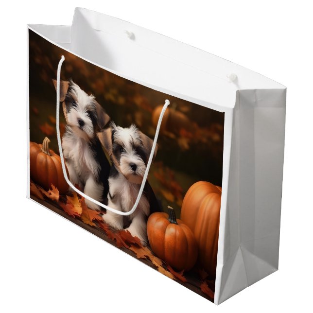 Biewer Terrier Puppy Autumn Delight Pumpkin (Framsidan Vinklad)