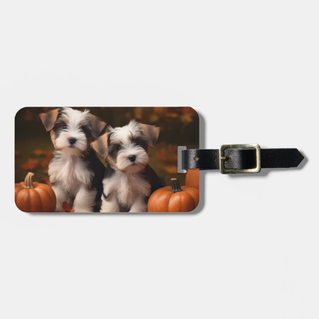 Biewer Terrier Puppy Autumn Delight Pumpkin Bagagebricka (Horisontell Framsida)