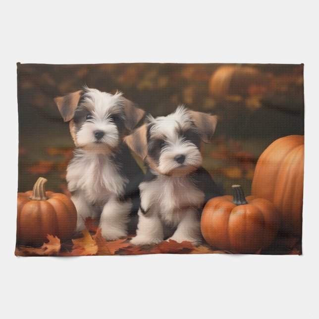 Biewer Terrier Puppy Autumn Delight Pumpkin Kökshandduk (Horisontell)