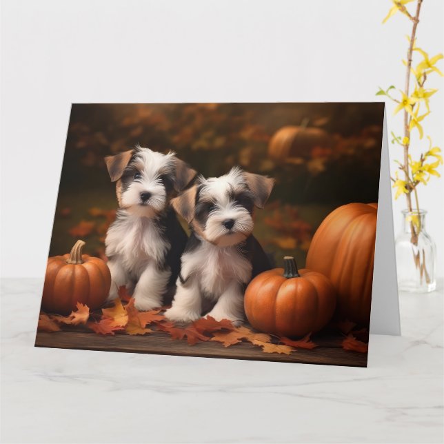 Biewer Terrier Puppy Autumn Delight Pumpkin Kort (Gul blomma)