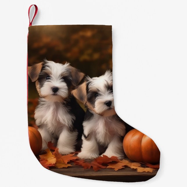 Biewer Terrier Puppy Autumn Delight Pumpkin Liten Julstrumpa (Framsidan)