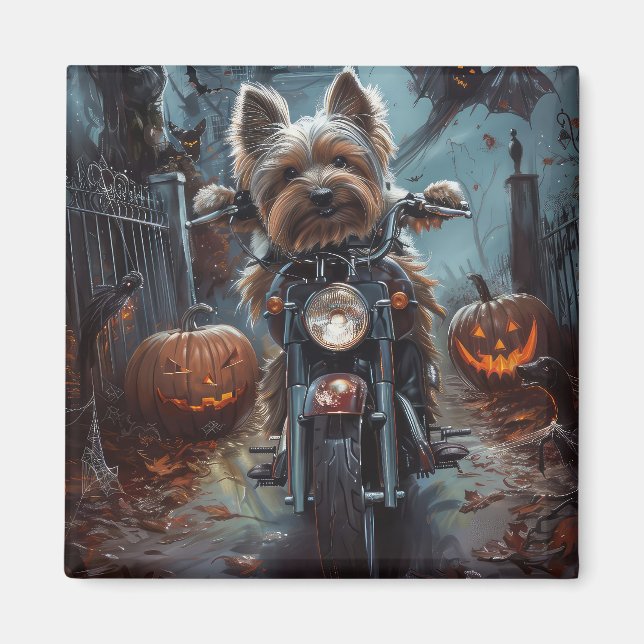 Biewer Terrier Riding Motorcykel Halloween Scary Magnet (Framsidan)