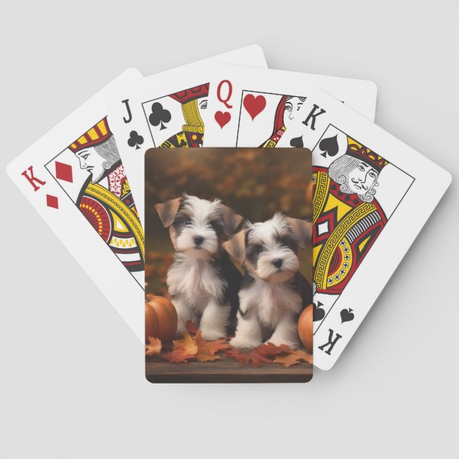 Biewer Terrier Valp Höstglädje Pumpa Casinokort (Baksidan)