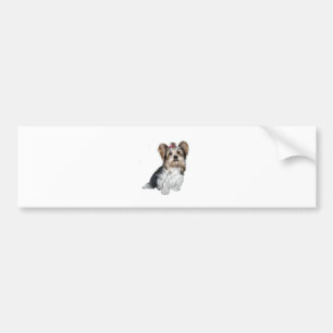 Biewer Yorkshire Terrier Bildekal