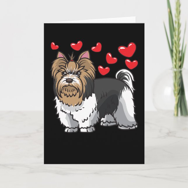 Biewer Yorkshire Terrier Hundar Kort (Framsida)