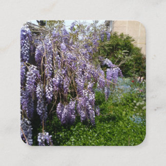 Bifogad kort Wisteria Violett Grön
