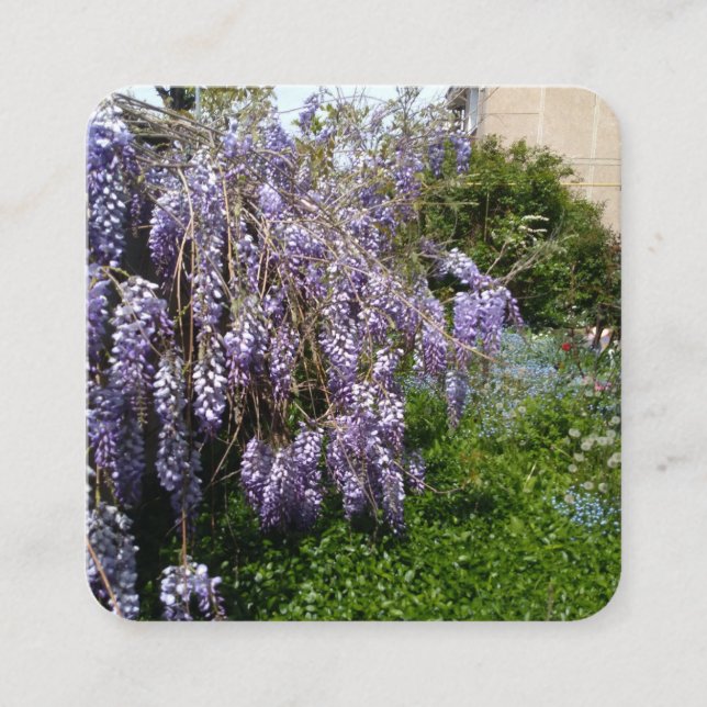 Bifogad kort Wisteria Violett Grön (Framsida)