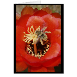 Bifrukost Hälsningskort