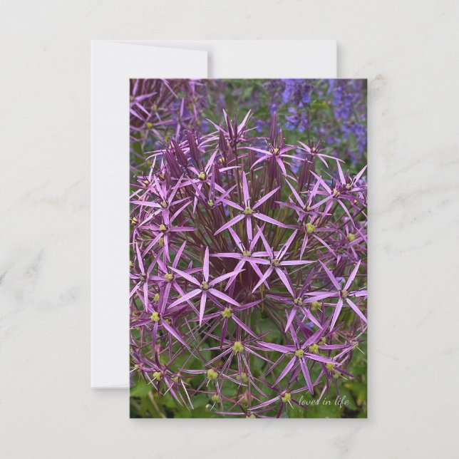 Big Allium Head Anteckningskort (Framsida)
