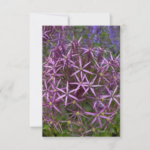 Big Allium Head Anteckningskort