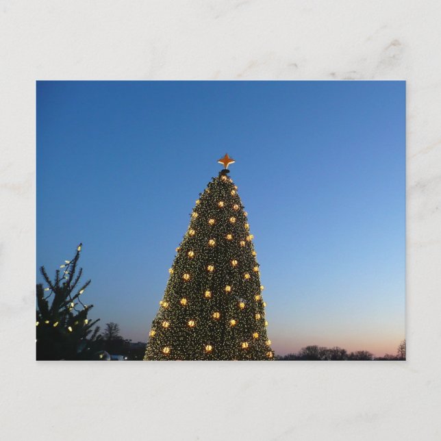 Big and Little Julgranar I Helgdag Sunset Helg Vykort (Framsida)