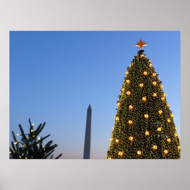 Big and Little Julgranar II Helgdag in DC Poster (Framsidan)