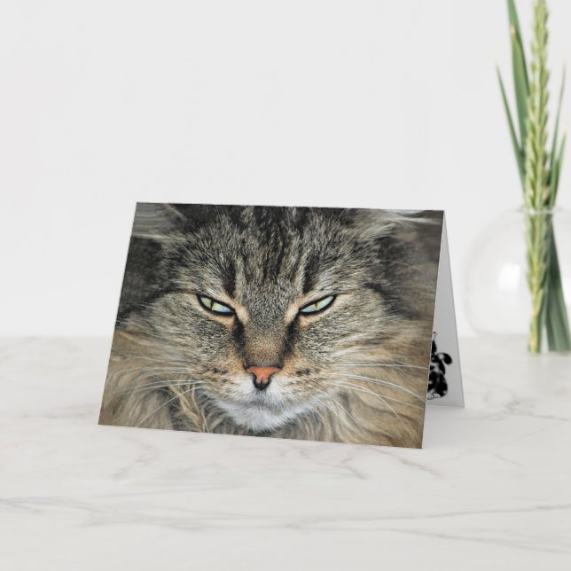 Big Ansikte Cat Birthday Kort (Framsida)