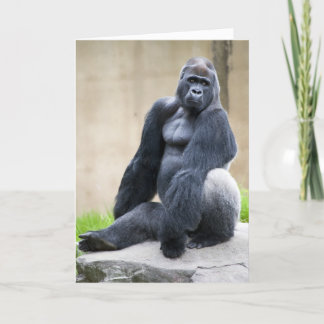 Big Ape-kort Kort